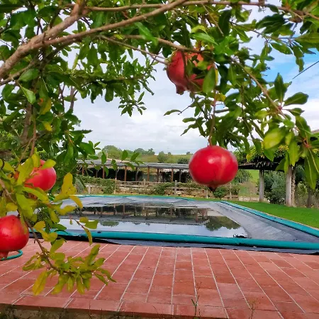 Agriturismo Poderuccio *