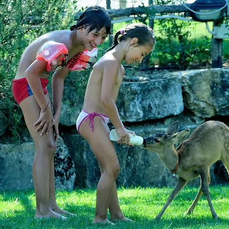 Agriturismo Poderuccio Farm stay