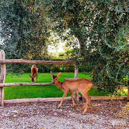 Agriturismo Poderuccio Farm stay *
